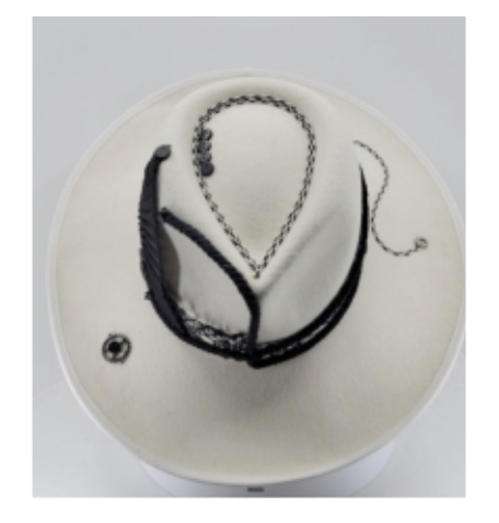 Domina Fedora